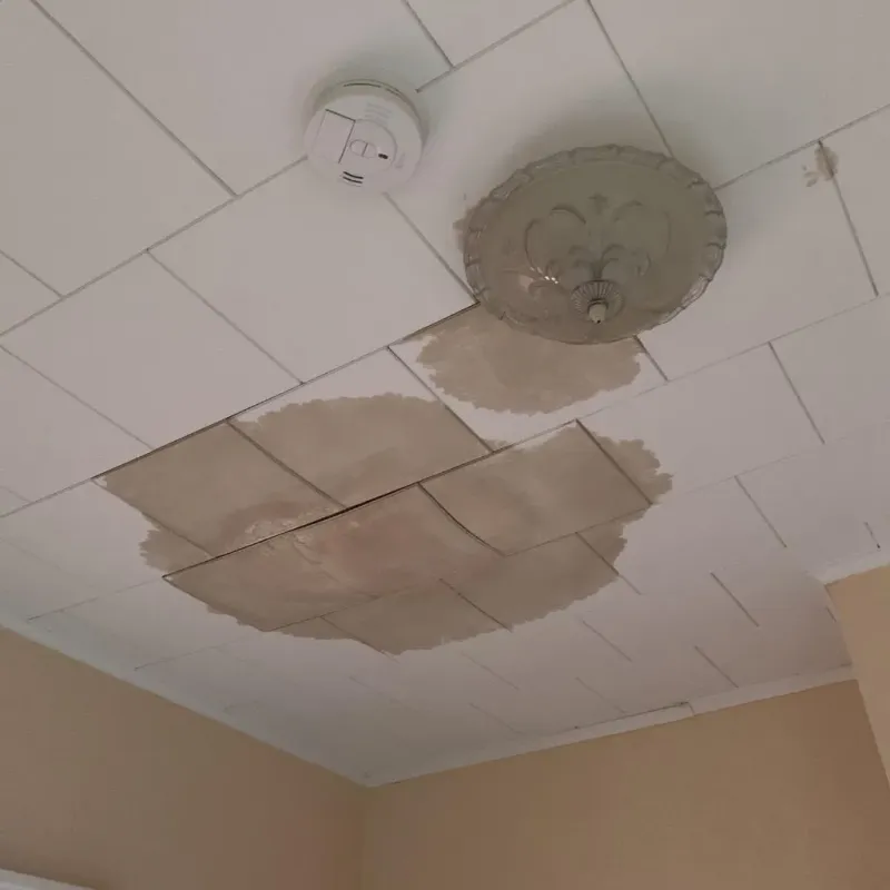 Ceiling Water Damage Repair in Brown County, SD
