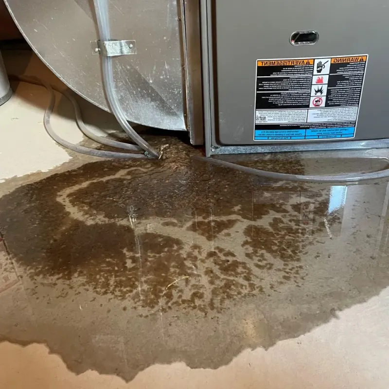 Pipe Burst and Leak Restoration in Brown County, SD