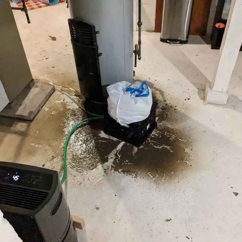 Sewage Backup Cleanup Service in Brown County, SD